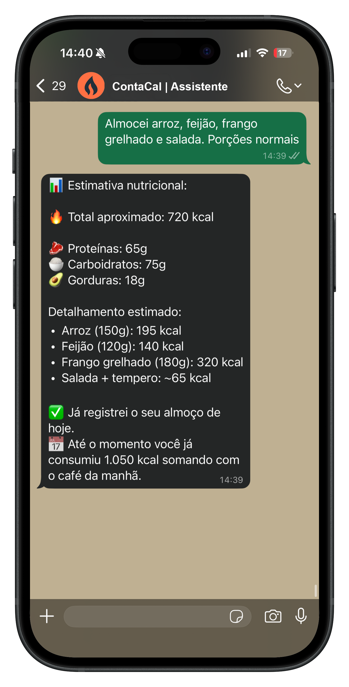 Conversa no WhatsApp — tela 3